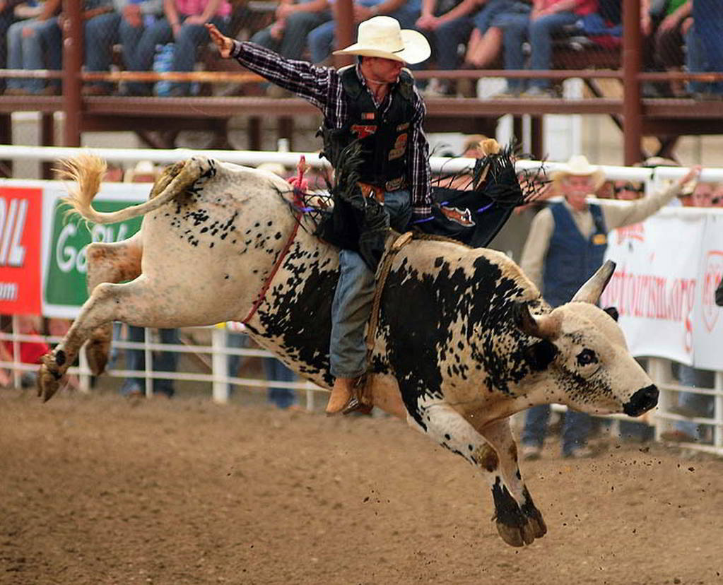 Sombreros de vaquero de rodeo