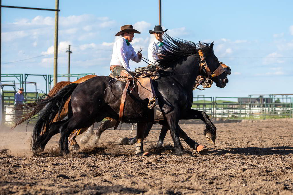 Sombreros de rodeo