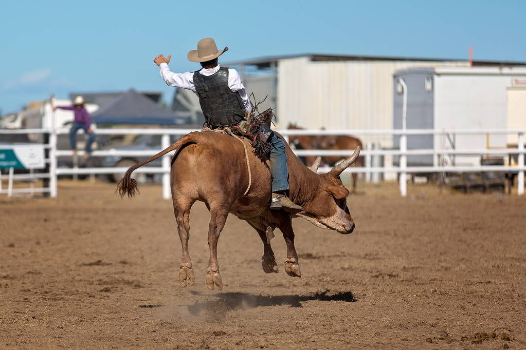 sombreros de rodeo para hombre