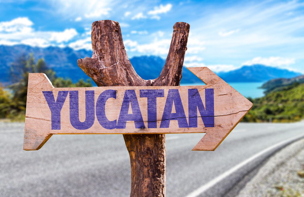 Yucatán: las Ramas navideñas