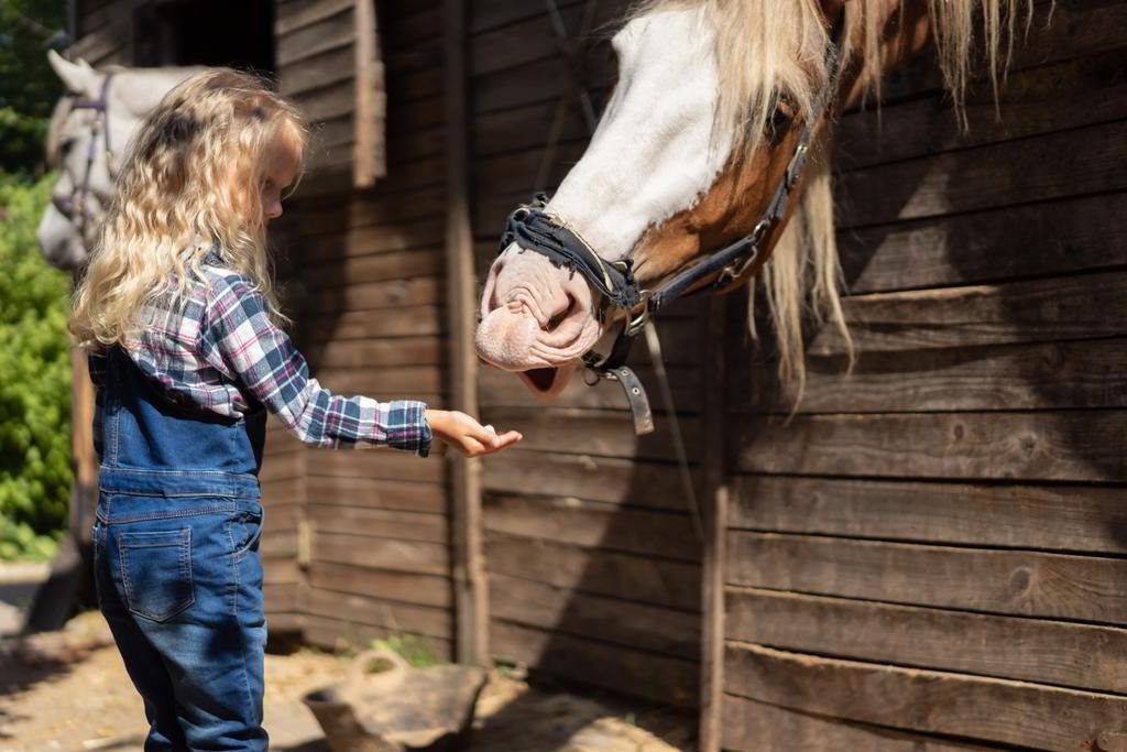 A los cuantos años se puede montar un caballo